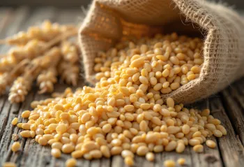 Puhastatud odraterad väikeses kotis ja puidust pinnal laiali laotatuna